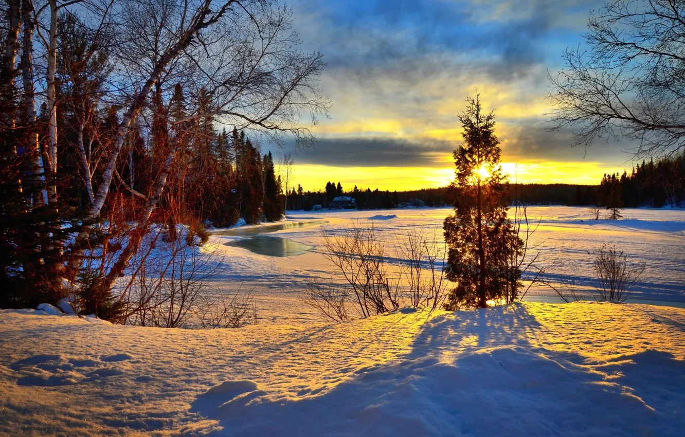 Photo wallpaper winter, forest, trees, landscape, sunset, nature, lake, Canada