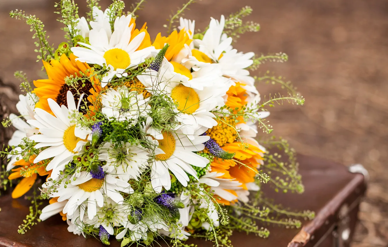 Photo wallpaper chamomile, bouquet, petals