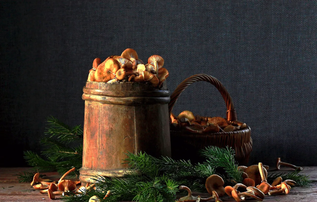 Photo wallpaper branches, table, mushrooms, harvest, still life, Fox, basket, needles