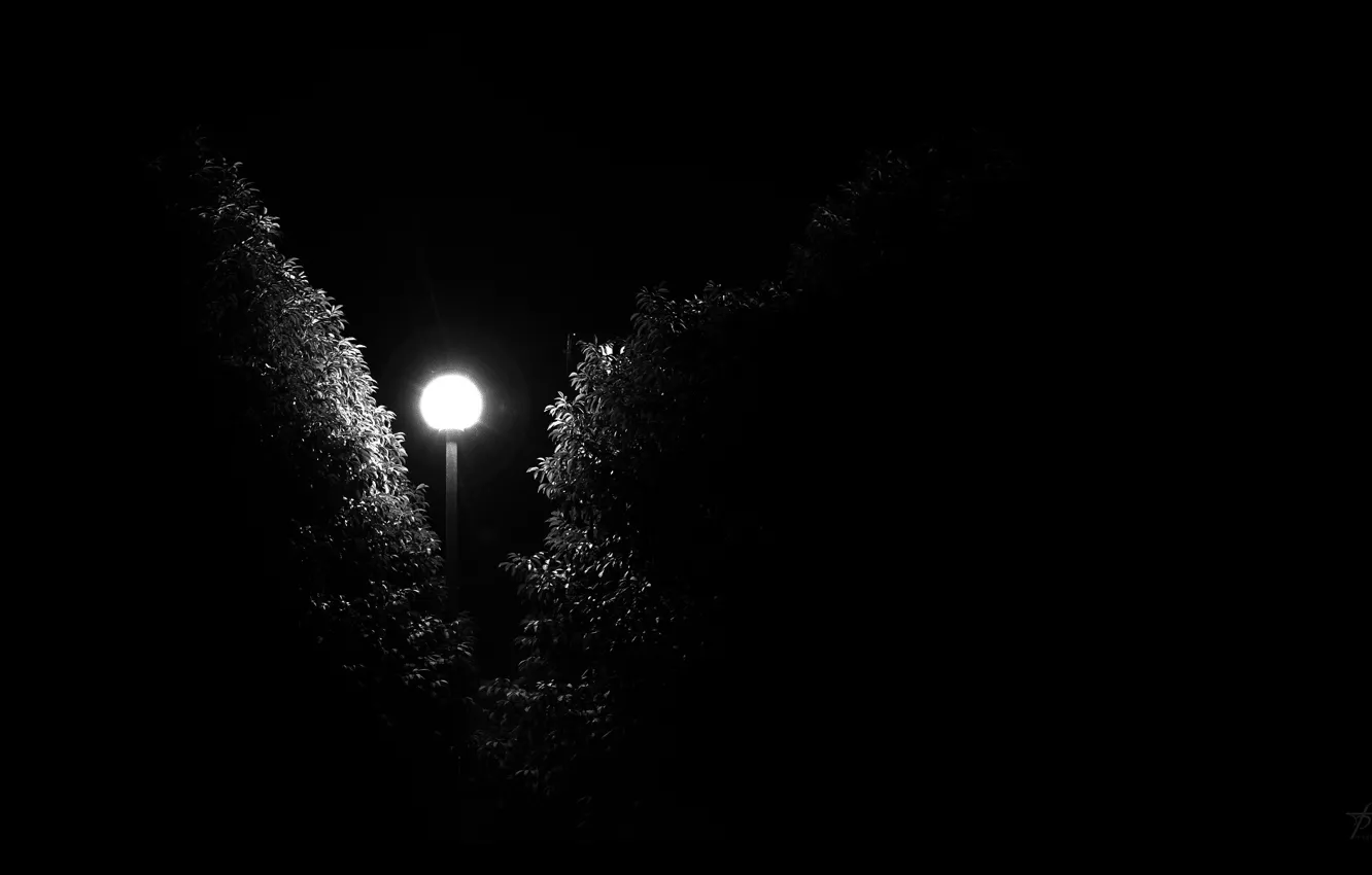 Photo wallpaper darkness, fear, street, Night, lantern