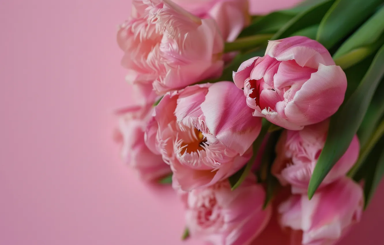 Photo wallpaper flowers, holiday, bouquet, spring, tulips, March 8, AI art, universal holiday background
