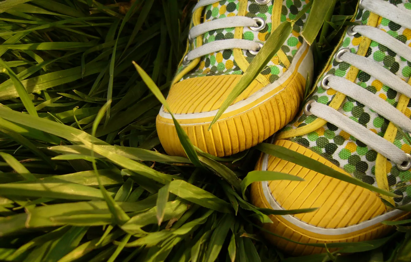 Photo wallpaper grass, sneakers, laces, Lacoste