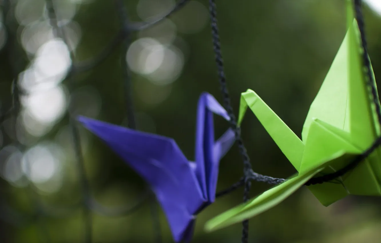 Photo wallpaper macro, background, crane