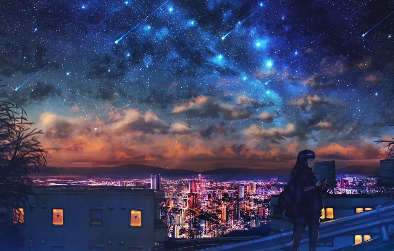 Photo wallpaper girl, night, the city, Starfall