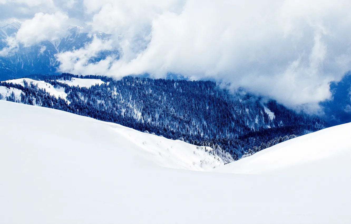 Photo wallpaper clouds, snow, trees, mountains