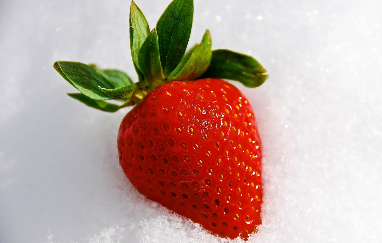 Photo wallpaper snow, food, strawberries, strawberry, berry