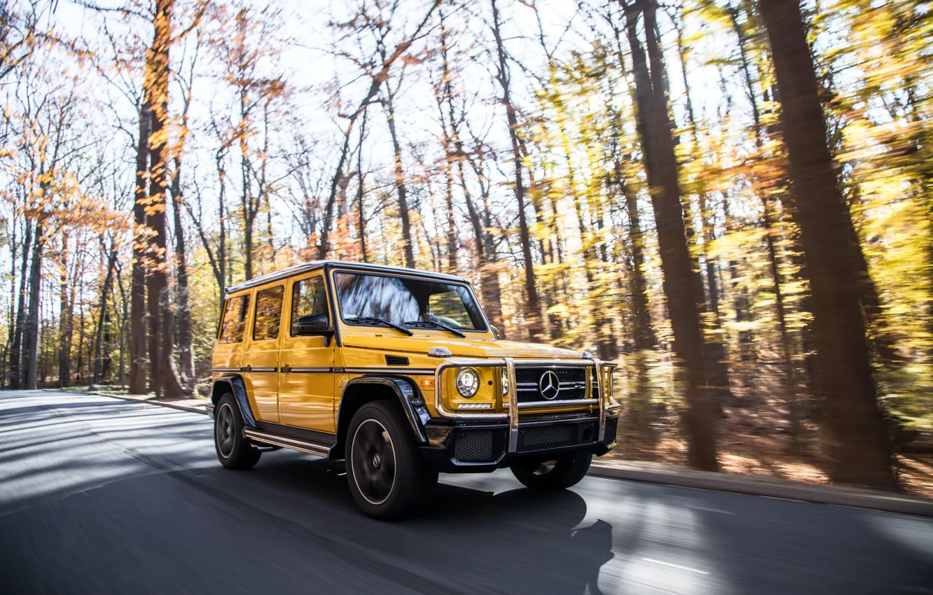 Photo wallpaper autumn, Mercedes-Benz, speed, AMG, G-Class, Gelandewagen, G63, 2017