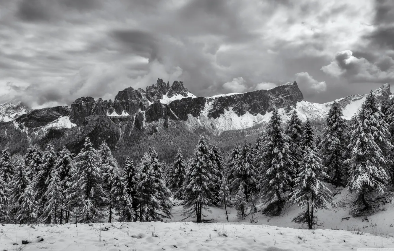 Photo wallpaper winter, the sky, clouds, snow, trees, mountains, nature, rocks