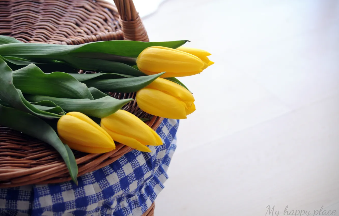 Photo wallpaper flowers, tulips, yellow tulips
