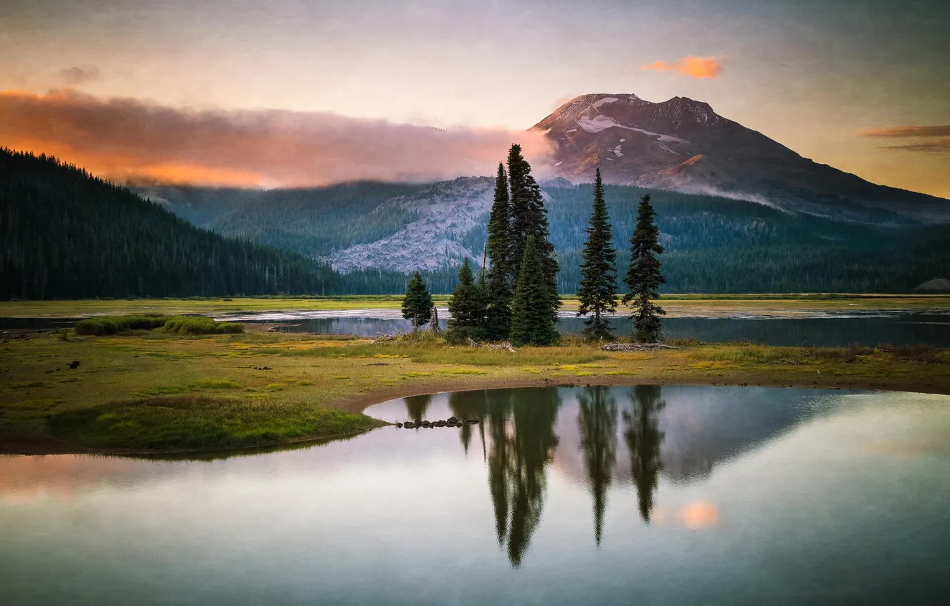 Photo wallpaper forest, trees, mountains, nature, lake