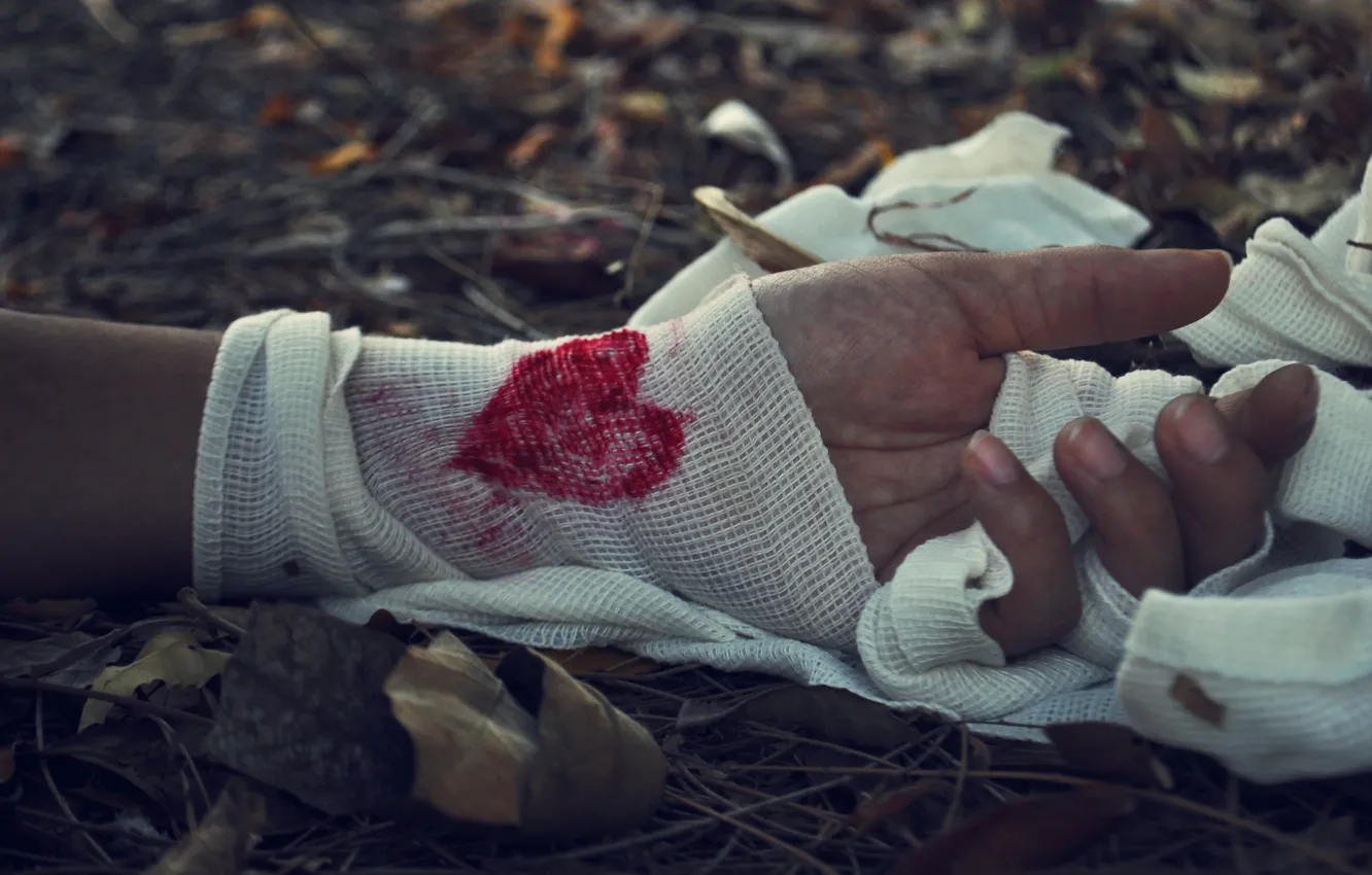 Photo wallpaper leaves, blood, heart, hands, bandages