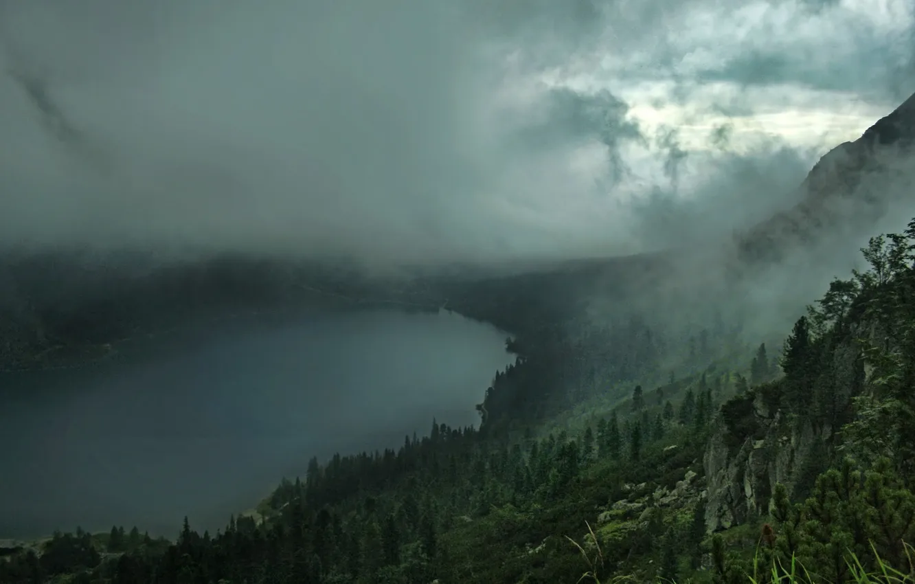Photo wallpaper forest, clouds, fog, lake, hills