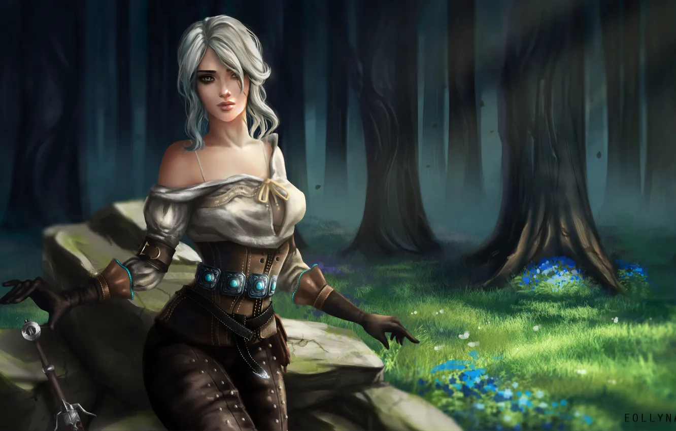 Photo wallpaper forest, girl, the game, art, The Witcher, characters, swallow, digital art
