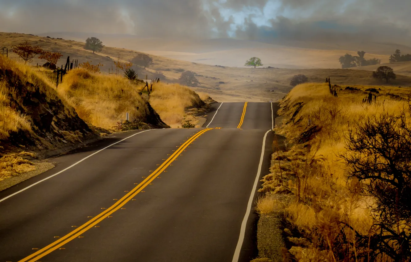 Photo wallpaper road, trees, hills, storm, gray clouds