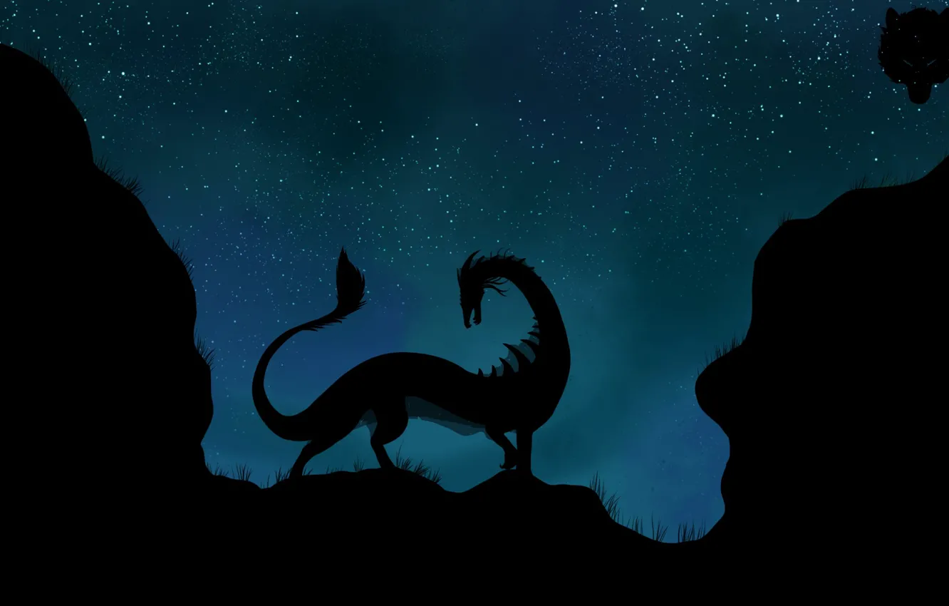 Photo wallpaper stars, night, dragon, silhouette, tail