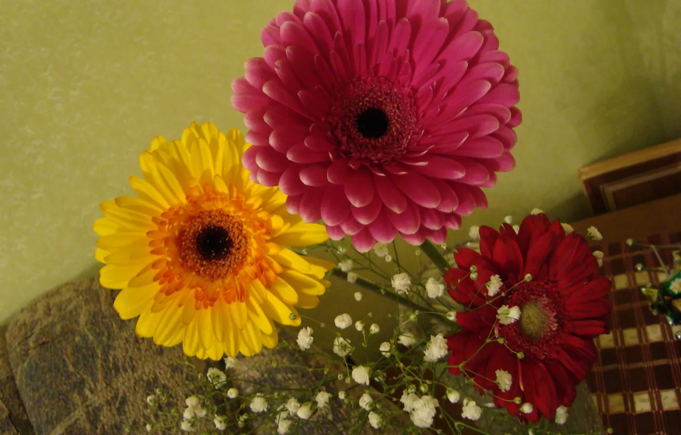 Photo wallpaper gerbera, a bit of color in autumn day, in a vase
