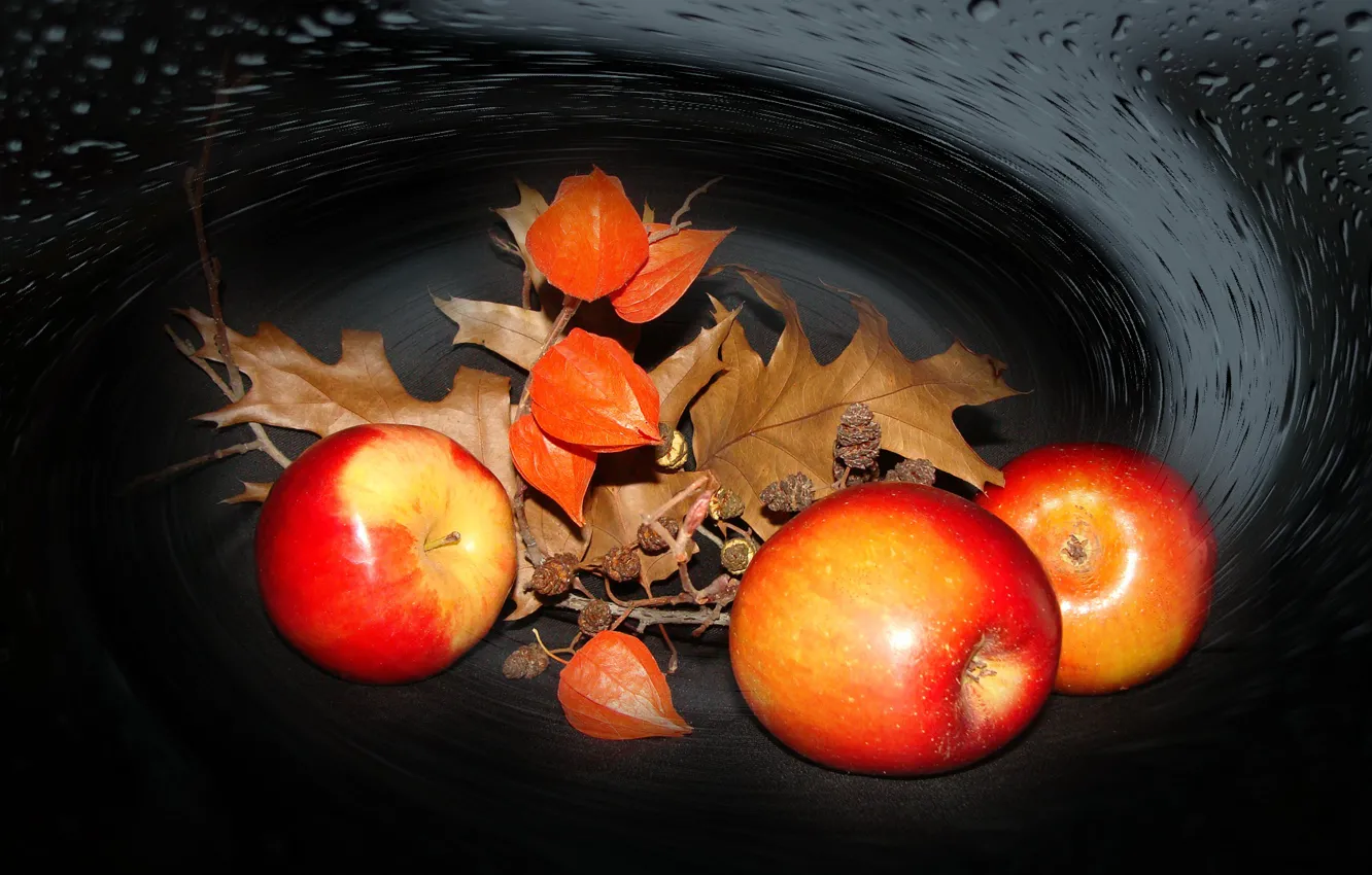 Photo wallpaper autumn, maple leaves, alder catkins, physalis, apples, still life