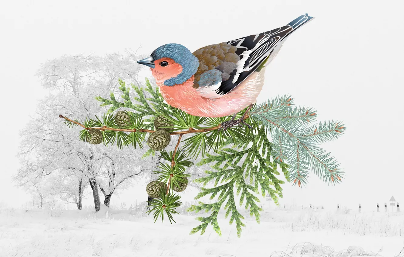 Photo wallpaper winter, bird, bird