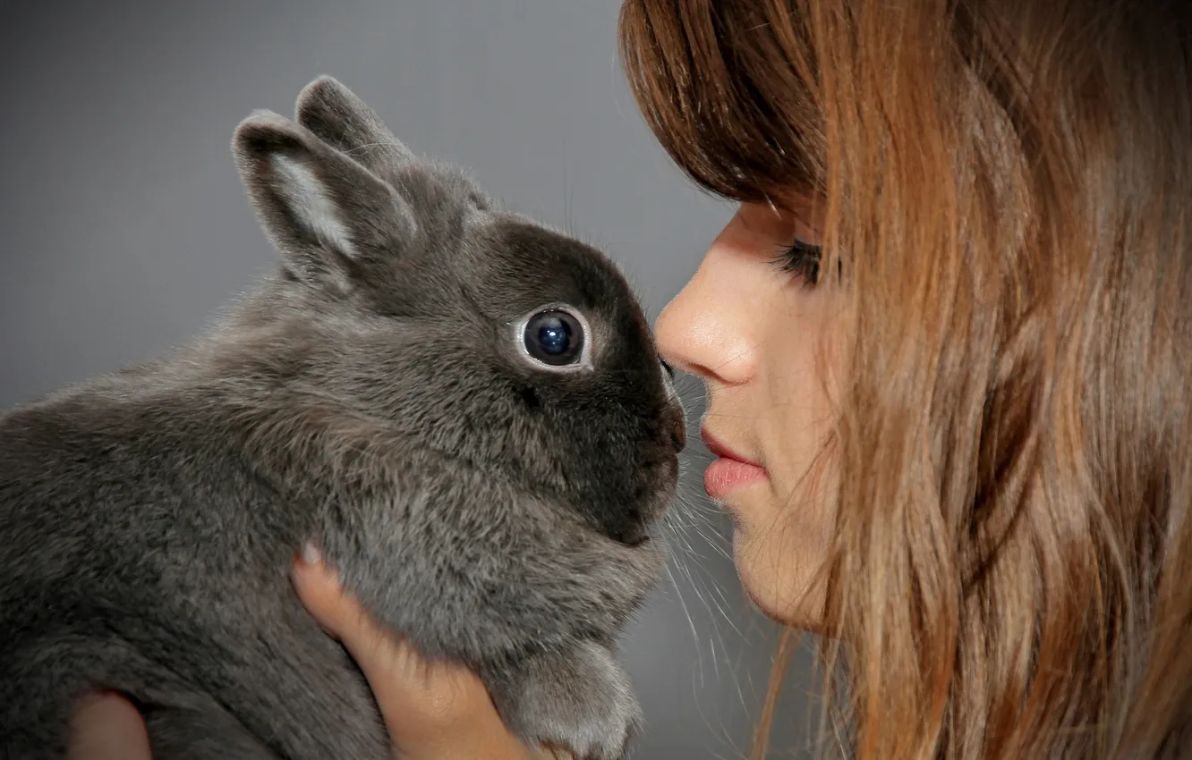 Photo wallpaper mood, rabbit, girl
