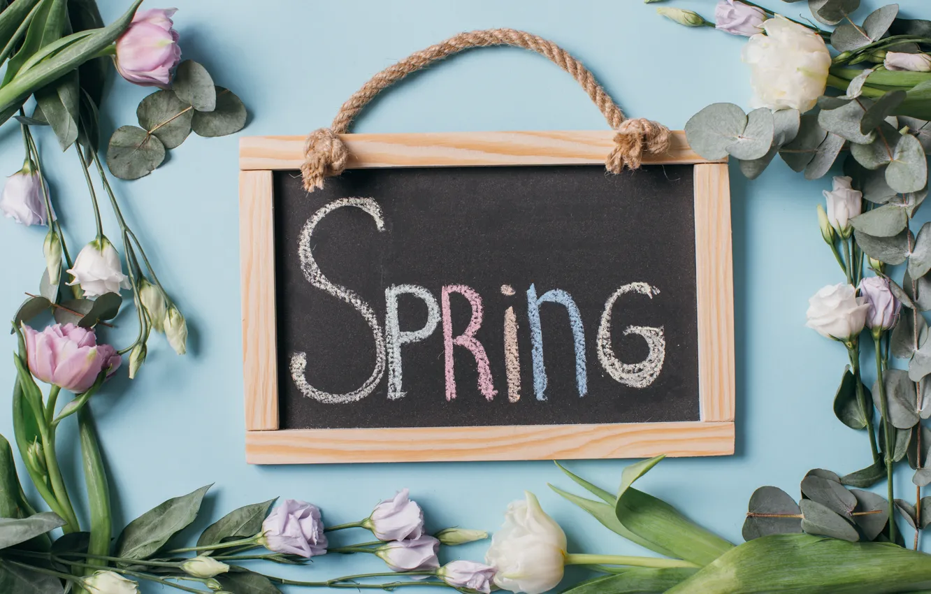 Photo wallpaper flowers, Board, tulips, pink, white, white, fresh, wood