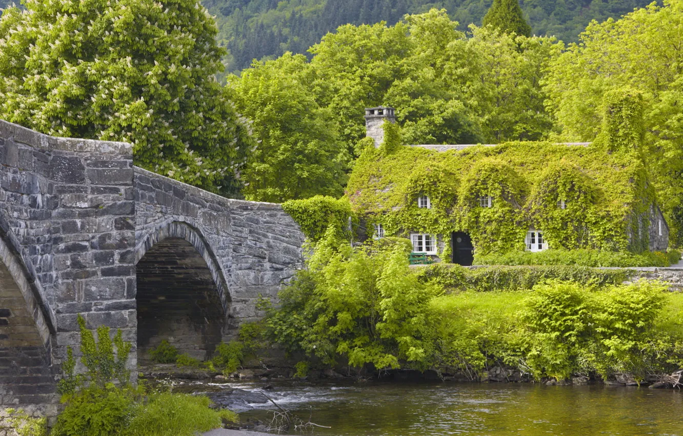 Photo wallpaper bridge, house, river, day, all, great, Bank, in the greenery.