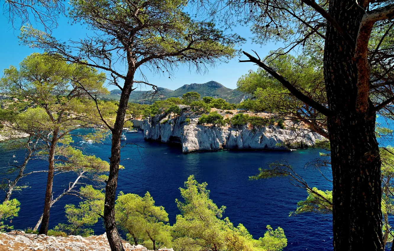 Photo wallpaper sea, trees, rocks, coast, France, Bay, Provence, Calanque