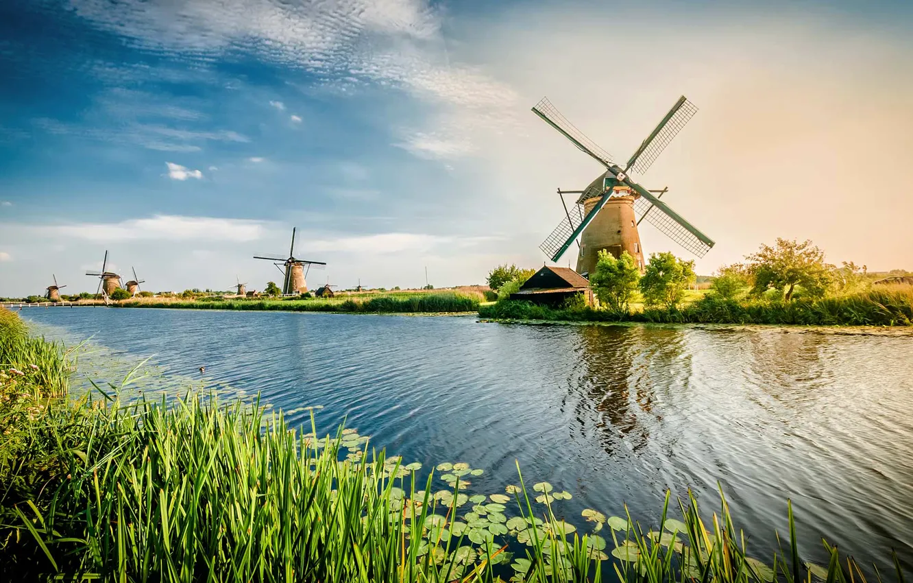 Photo wallpaper channel, Netherlands, windmill, Rotterdam