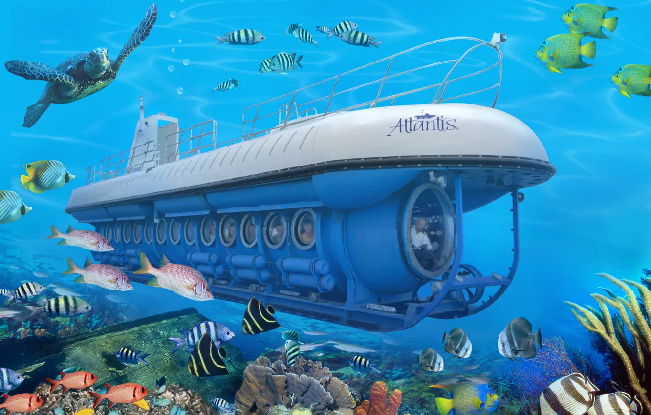 Photo wallpaper submarine, under water, underwater, under water, tourists, reef, submarine, tour