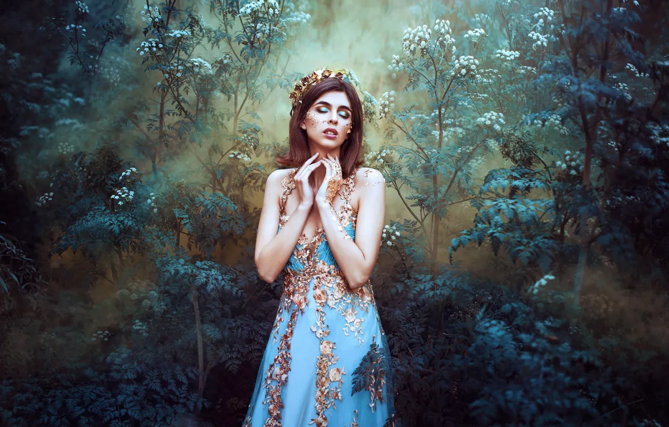 Photo wallpaper forest, girl, pose, style, crown, hands, makeup, dress