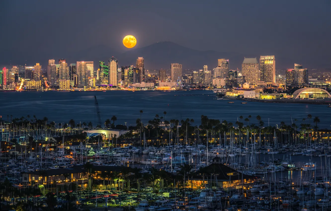 Photo wallpaper landscape, mountains, night, lights, palm trees, the moon, building, home