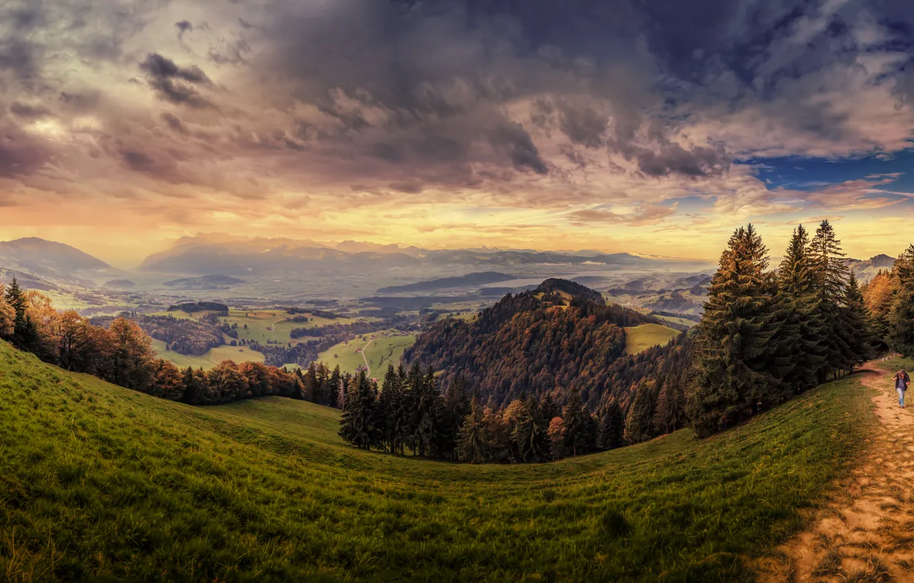 Photo wallpaper grass, clouds, trees, mountains, field, treatment, Switzerland, slope