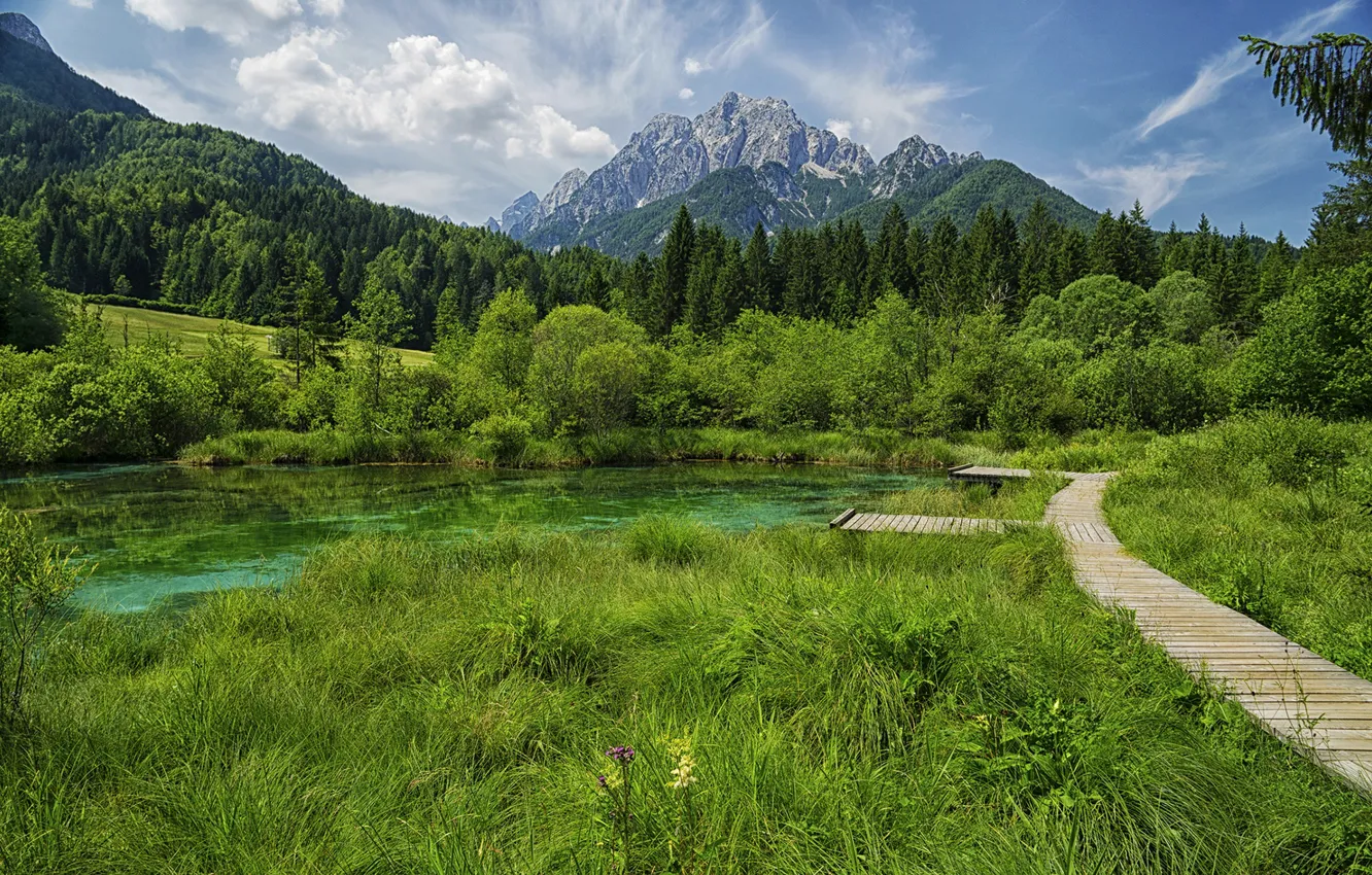 Photo wallpaper summer, grass, mountains, lake, Slovenia