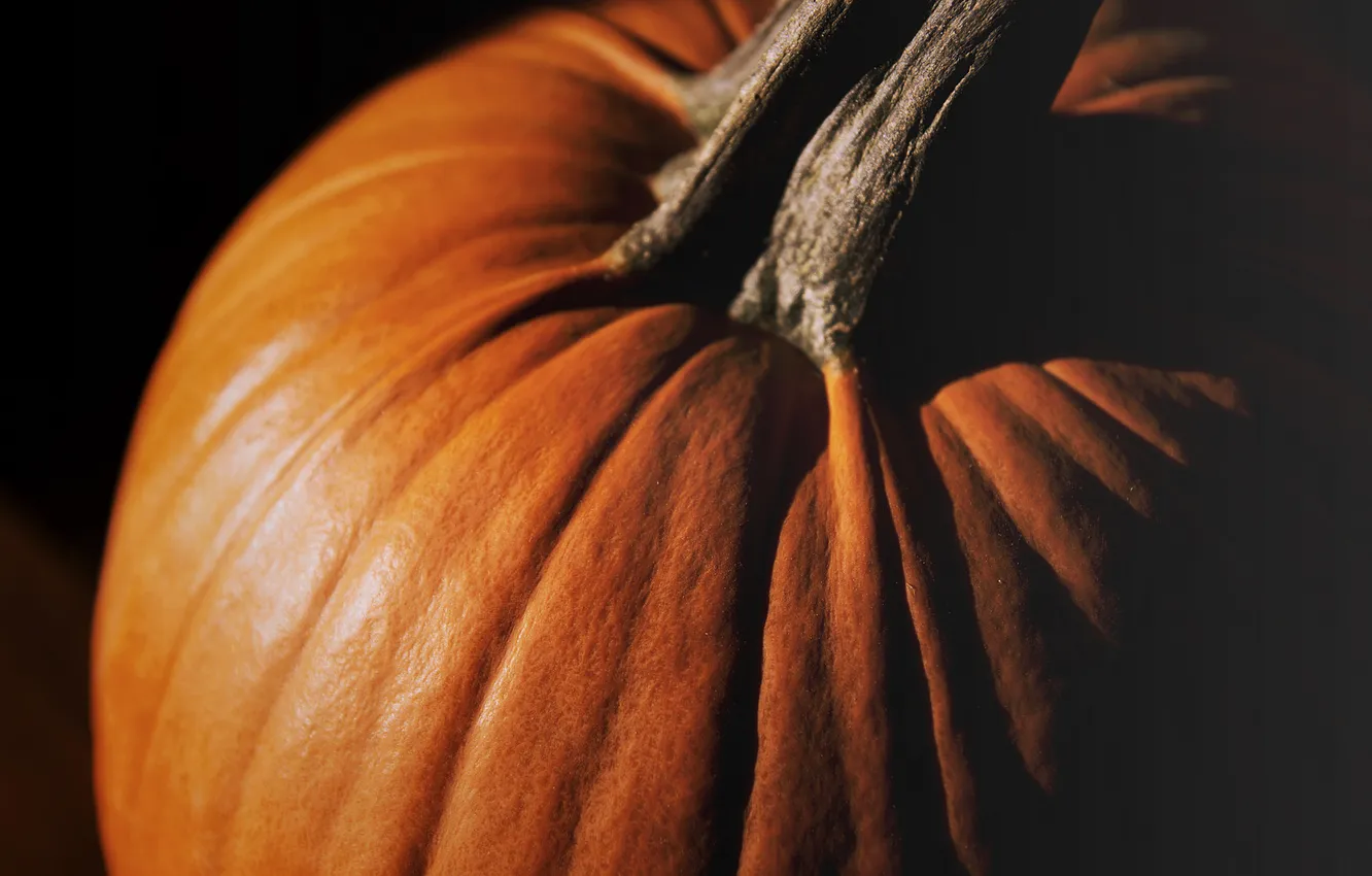 Photo wallpaper orange, pumpkin, vegetables