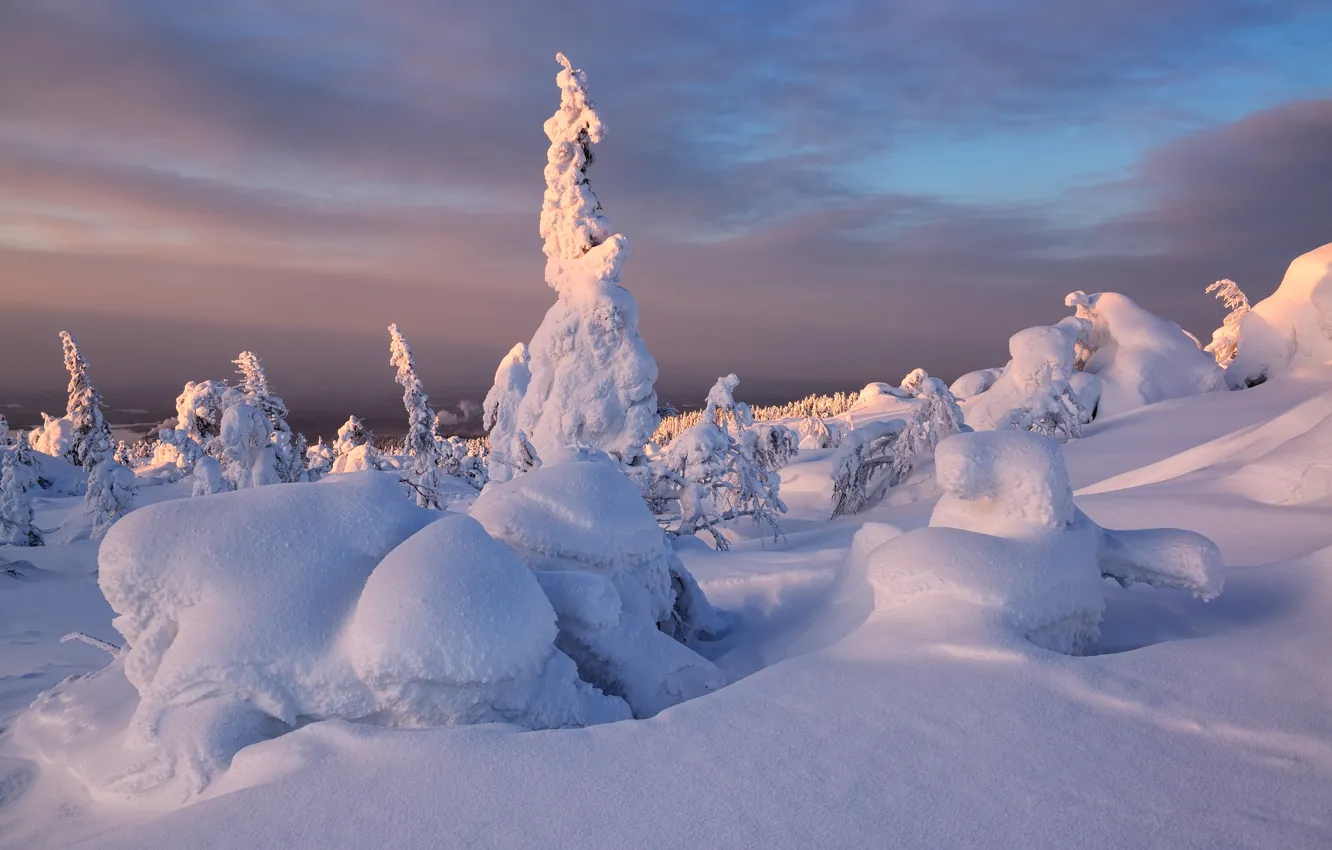 Photo wallpaper winter, snow, trees, sunset, ate, The Kola Peninsula, Maxim Evdokimov, Kandalaksha