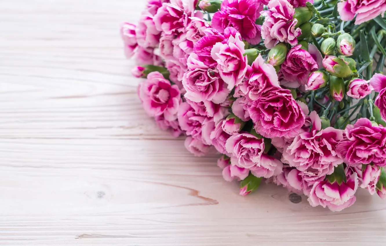 Photo wallpaper flowers, pink, wood, pink, carnation, flowers
