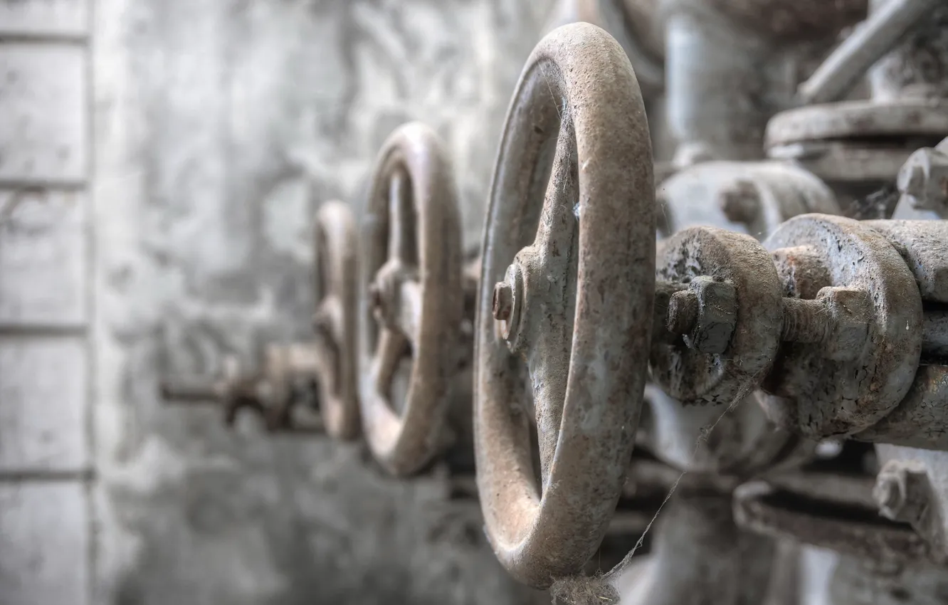Photo wallpaper macro, background, valves