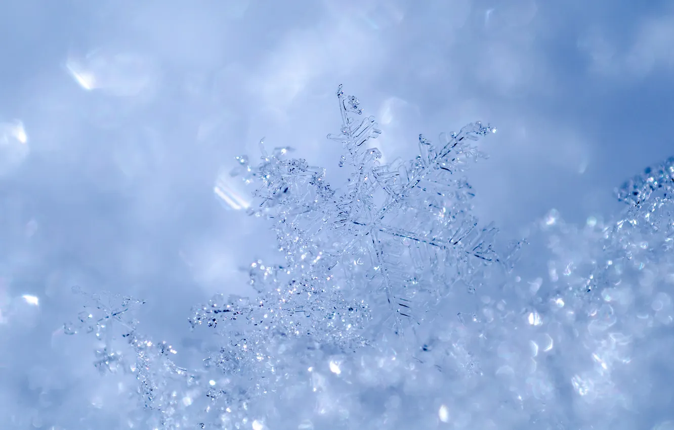 Photo wallpaper winter, macro, snow, snowflakes, nature, bokeh, ice crystals