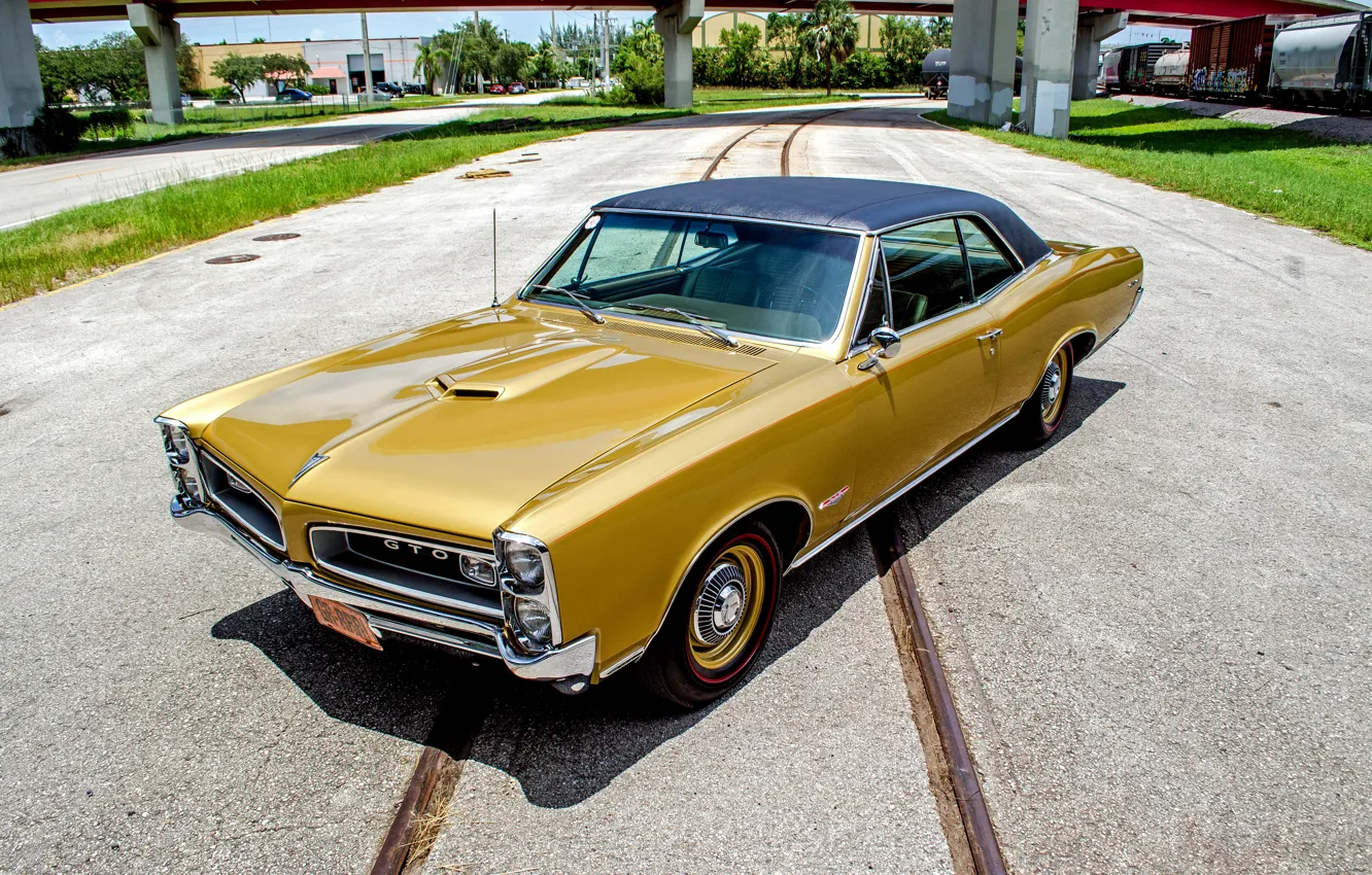 Photo wallpaper Coupe, Pontiac, GTO, 1966, Pontiac, Tempest, tempest