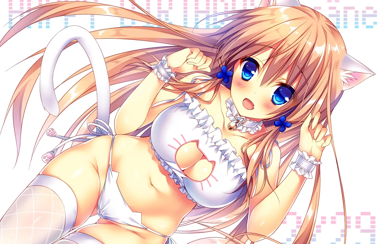 Photo wallpaper girl, sexy, lingerie, Cameltoe, bra, cleavage, panties, thighhighs