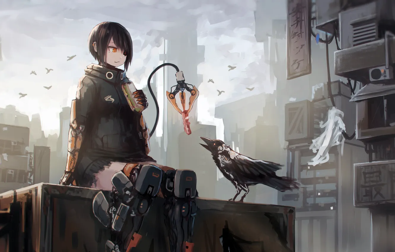 Photo wallpaper city, future, girl, fantasy, robot, android, bird, crow