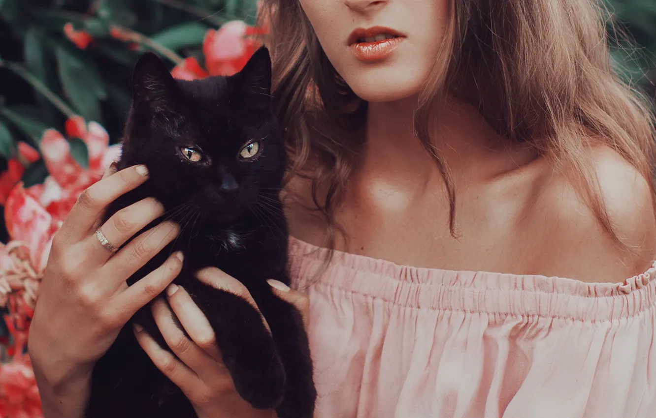 Photo wallpaper cat, cat, girl, mood, black, mistress