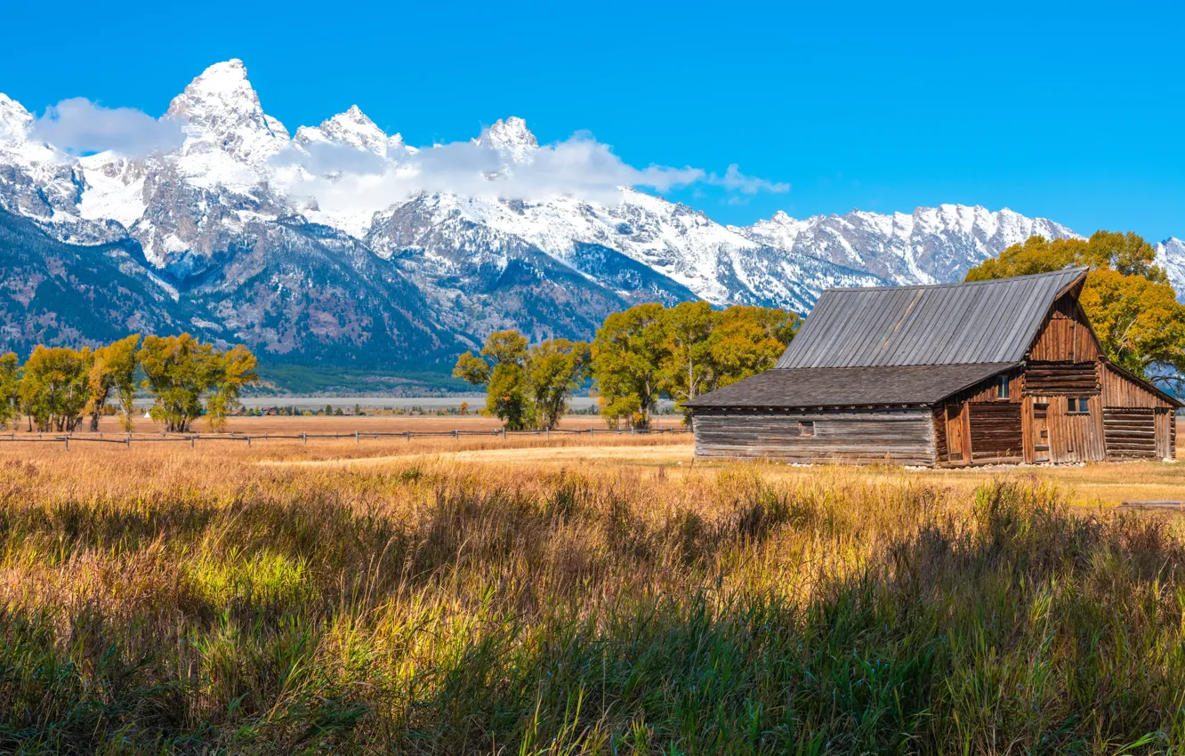 Photo wallpaper field, mountains, house, USA, Grand Teton