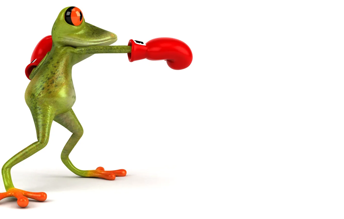 Photo wallpaper graphics, frog, Boxing, gloves, Free frog 3d