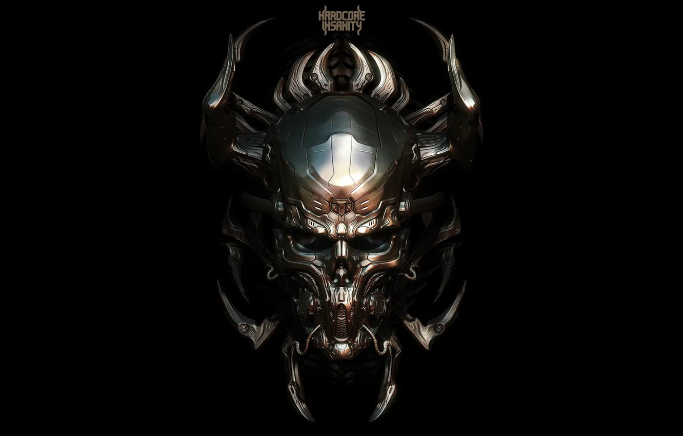 Photo wallpaper style, music, skull, horns, hardcore, metal, hardcore insanity