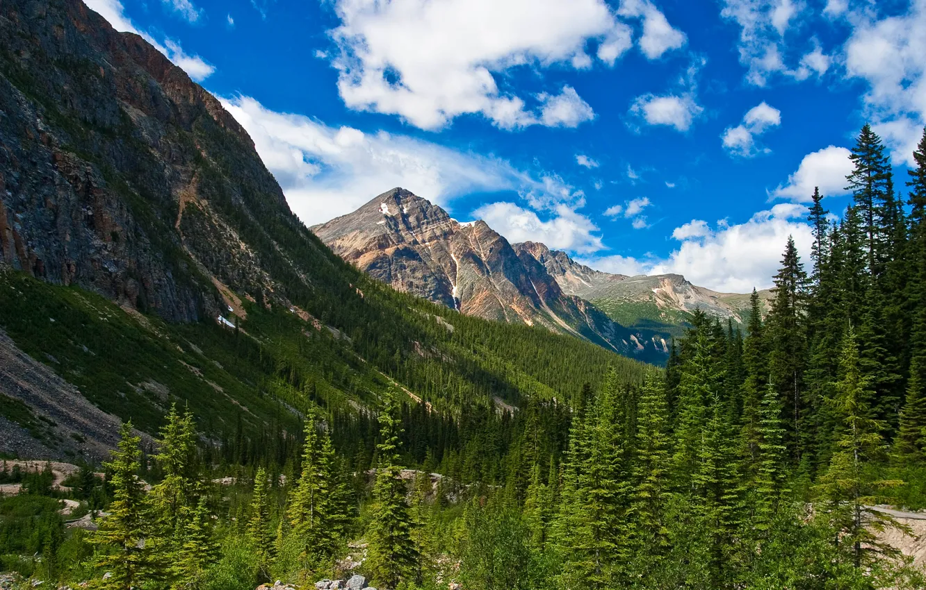 Photo wallpaper forest, the sky, clouds, snow, trees, mountains, Canada, Alberta