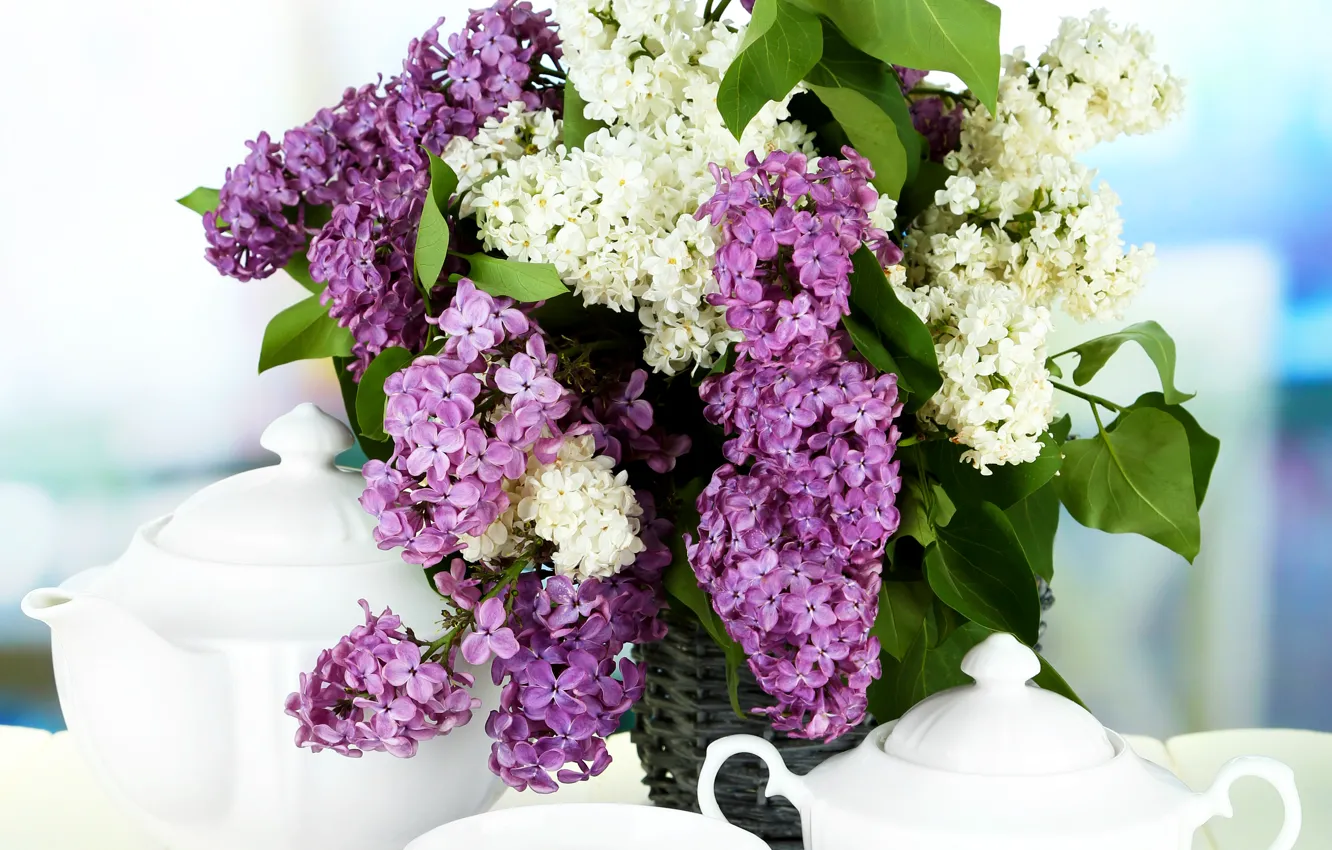 Photo wallpaper tea, flowers, lilac, tea, lilac