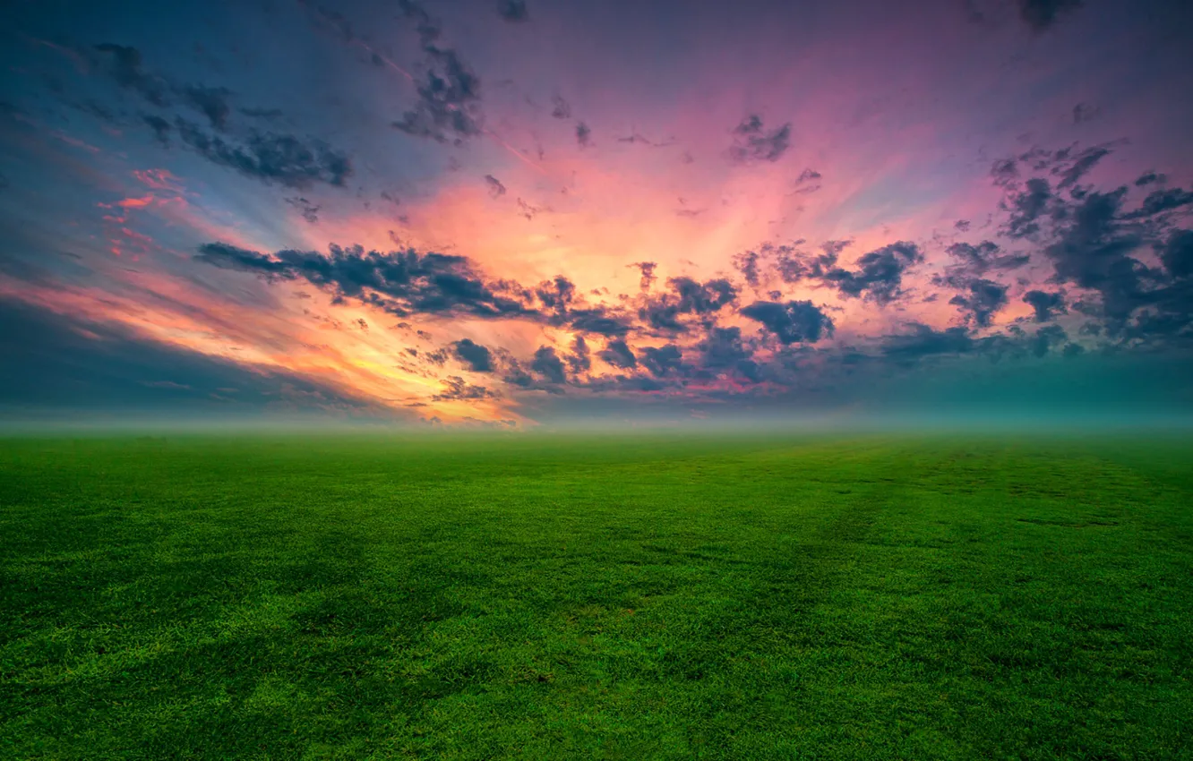 Photo wallpaper grass, meadow, dawn