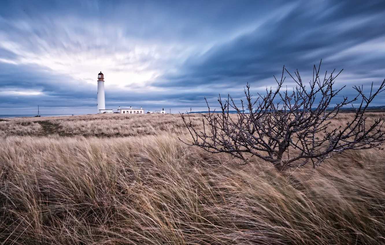 Photo wallpaper field, lighthouse, the bushes