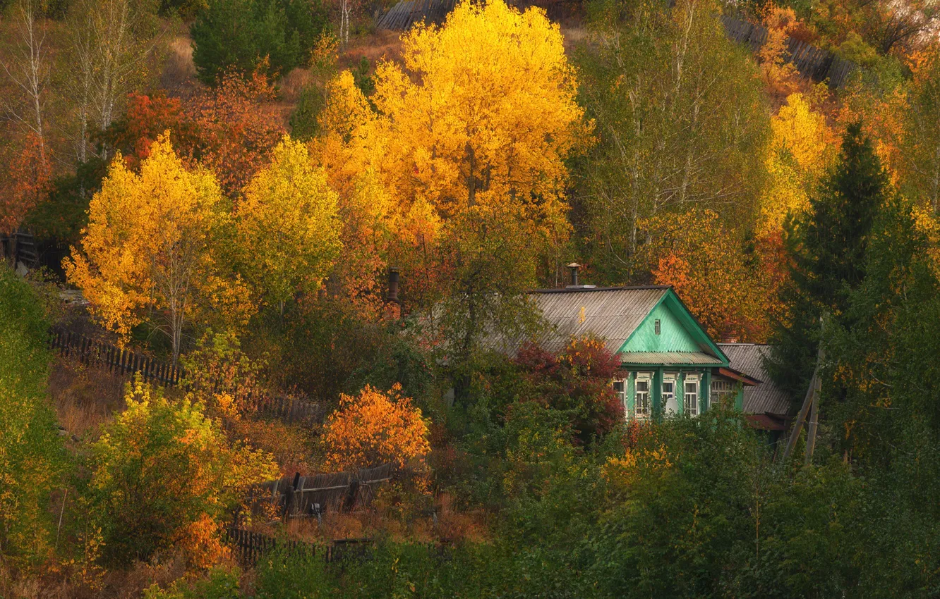 Photo wallpaper autumn, forest, house, house, Golden autumn