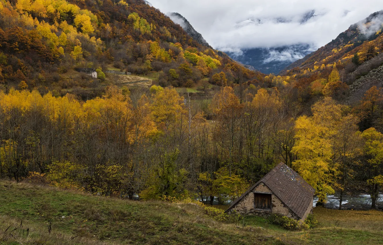 Photo wallpaper autumn, forest, mountains, slope, house